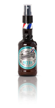 Beardburys Ocean - Meersalzspray 100ml